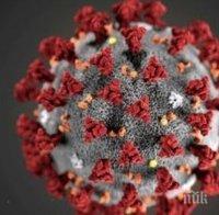 Трета жертва на новия коронавирус в Тайван