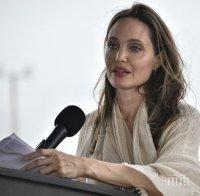 Анджелина Джоли се раздели с 1 милион долара заради гладни деца