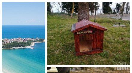 общинарите приморско монтираха къщички бездомните кучета снимки