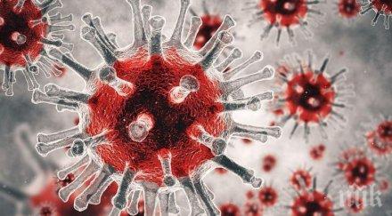 случаите коронавирус света 664 000