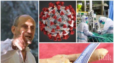 повярвате руски доктор чудодейна рецепта справим върлуващия коронавирус видео