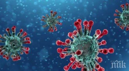 сащ кръвта преболедували коронавируса използва борбата