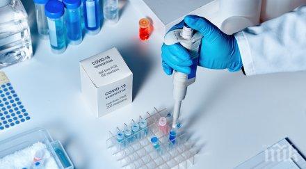 главболгарстрой холдинг дари апаратура диагностика коронавирус умбал пълмед