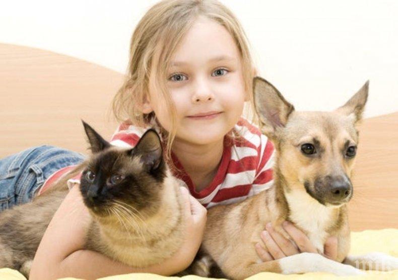 ЛЮБИМЦИ: Котките и кучетата са полезни за емоционалното равновесие на децата