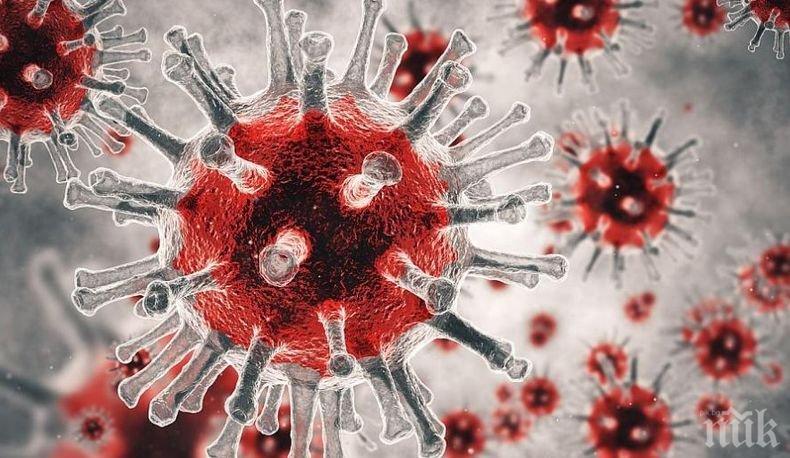 Случаите на коронавирус в света са над 664 000