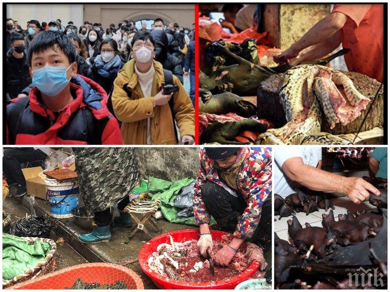 ОПАСНО: Ето откъде тръгват заразите в Китай - търговията с диви животни още не е забранена