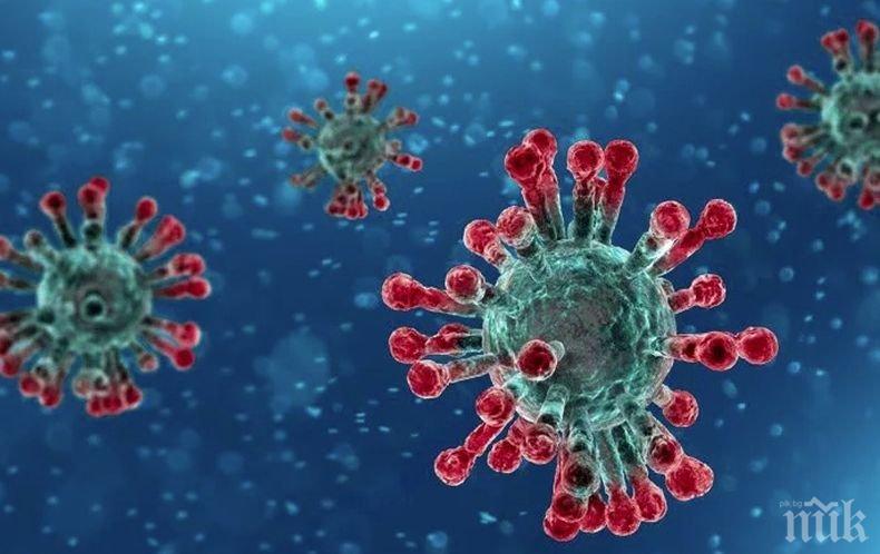 В САЩ: Кръвта на преболедували от коронавируса може да се използва в борбата срещу него