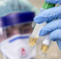 Нидерландия предложи създаването на фонд за помощ в борбата с коронавируса