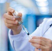 Започнаха предклинични тестове на 5 ваксини срещу COVID-19 в Италия