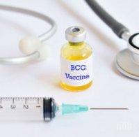 СЕНЗАЦИЯ! Старата ваксина БЦЖ срещу туберкулоза - панацея срещу COVID-19. Най-много пострадаха страни като САЩ, Италия и Нидерландия, където не е имало имунизация