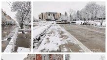 РЕПОРТАЖ НА ПИК: София като от филм на ужасите - вижте как изглежда центърът на столицата след снега (СНИМКИ)