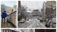 РЕПОРТАЖ НА ПИК: Опашки пред Агенцията по заетостта - дистанцията се спазва. Няма да повярвате как изглеждат Централни хали под карантина (СНИМКИ)