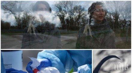 пророческо две книги предсказали появата сеещия смърт коронавирус