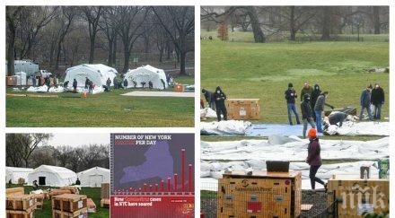 безпрецедентна ситуация йорк разполагат полева болница култовия сентрал парк видео снимки