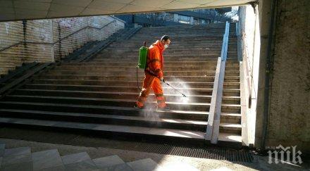 столична община дезинфекцира улиците спирките контейнерите смет