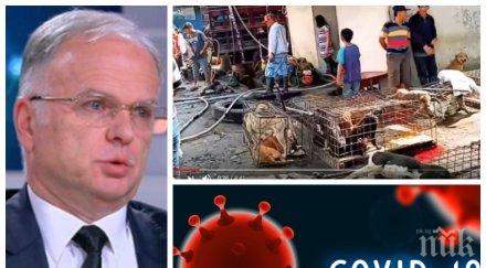 горещ анализ боян чуков точно светът научи печените прилепи пазара ухан