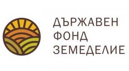 ДФ "Земеделие" отпуска до 3,5 млн. лв. за реализация на родното производство на агнешко месо