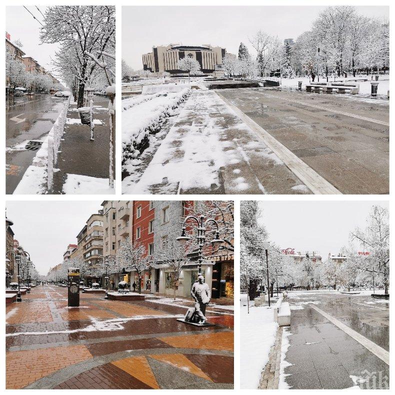 РЕПОРТАЖ НА ПИК: София като от филм на ужасите - вижте как изглежда центърът на столицата след снега (СНИМКИ)