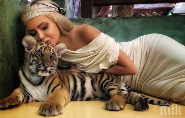 Сексбомби се записаха доброволки срещу вируса