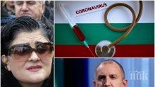 Калина Андролова попиля Румен Радев: Първо е нацията, после амбициите на жена ти. Само с алчност и вероломство не става