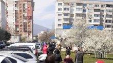 САМО В ПИК: Опашката пред бюрото на труда в "Младост" 4 се изви в близката градинка (СНИМКИ)