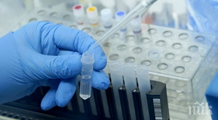 шокиращи разкрития циганинът коронавирус лом отишъл пазар монтана влезе болницата