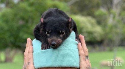 нечовешки лукс бекъм пръсна $24 млн маями снимки