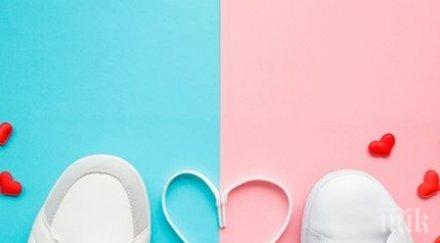 страхове делят любовта