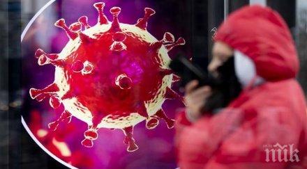 шок жертвите коронавируса света близо 000 млн заразените