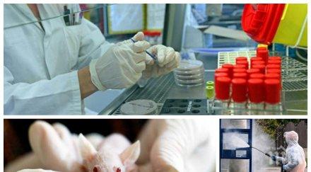 пробив полски учени откриха метод омаломощаване covid