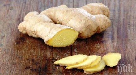 джинджифилът изчезна пазара заради коронавируса спекуланти продават тройна цена