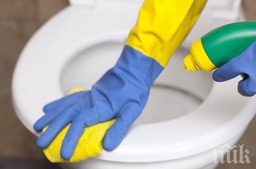 Защо хитрите домакини изсипват олио в тоалетната чиния?