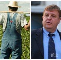 Каракачанов внесе в Министерски съвет мерки в подкрепа на земеделците
