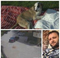 ВЪЗМЕЗДИЕ: Запалиха буса на Иван Навяков от Сандански, който осакати за цял живот кучето Лиско 