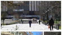 РЕПОРТАЖ НА ПИК: Няма оправия! Спецчастите ли трябва да завардят "Витошка", за да секнат лежерните разходки? Добра тенденция - опашките пред бюрата по труда намаляват (СНИМКИ)