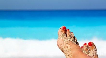 ами наредба бургас забрани секса плажа глобата бона