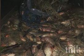 мащабна среднощна акция бургас спипаха бракониери повече тон риба