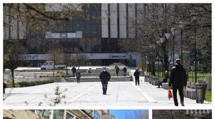 репортаж пик оправия спецчастите завардят витошка секнат лежерните разходки добра тенденция опашките бюрата труда намаляват снимки