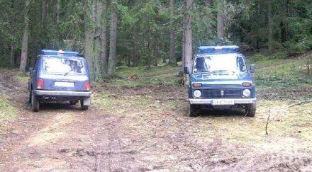 нападнаха горски сотиря