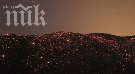 огнена стихия връхлетя калифорния петима ранени видео