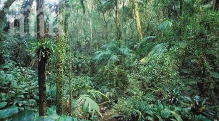 спасиха баща син прекарали години джунглата виетнам