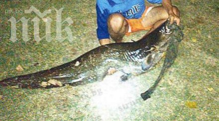 уникално син банкер извади тениска сом язовир снимка