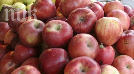 русия бракува плодове внесени българия