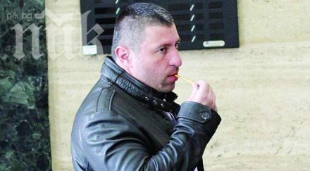 пуснаха хамстера свобода поддържа спортна форма