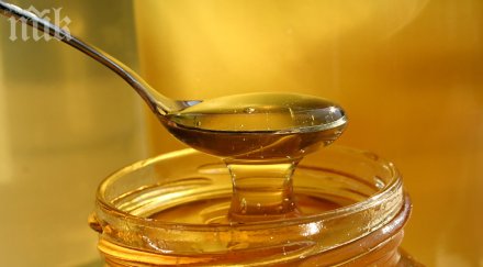 пчелите черноморието плодовити