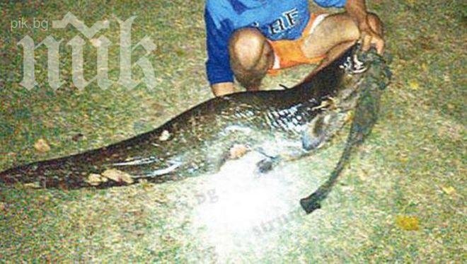 Уникално! Син на банкер извади с тениска 25 кг сом от язовир (снимка)