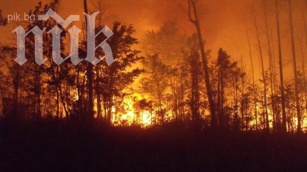 Обявиха пожароопасен сезон във всички области на страната