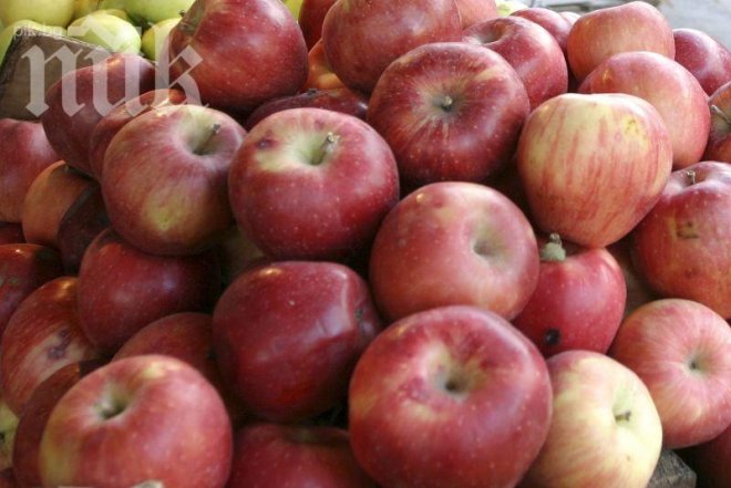 Русия бракува плодове, внесени от България