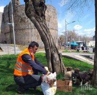 Общински служители се грижат за бездомни животинки в Турция