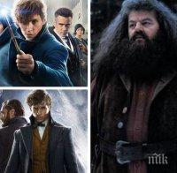 Проект: Във филма „Фантастичните животни 3” ще се появят герои от поредицата за Хари Потър
